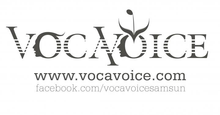 VocaVoice