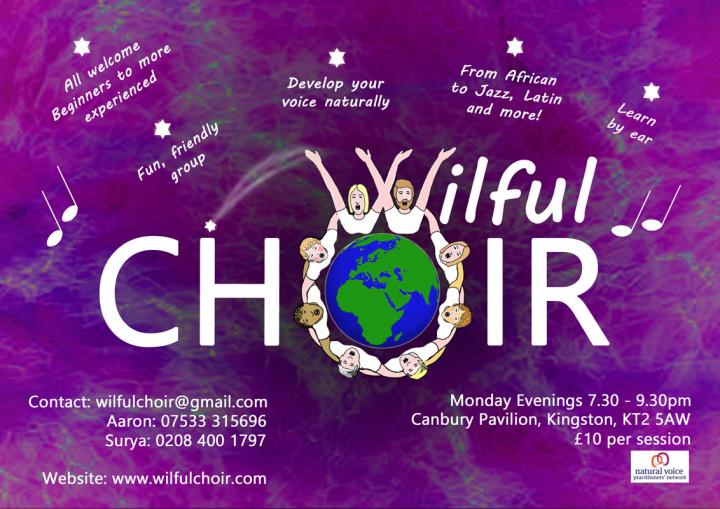 Wilful Choir