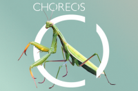 CHOREOS