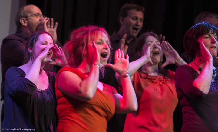 The Lost Sound- Dartmoor Folk Choir