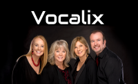 Vocalix 