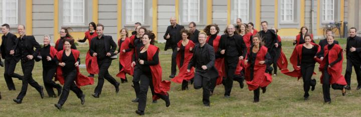 VOX BONA, Kammerchor der Kreuzkirche Bonn