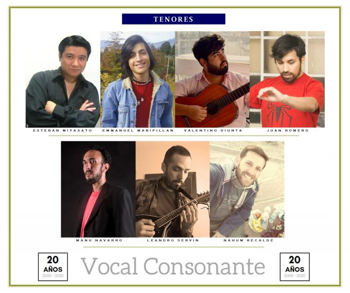 Vocal Consonante