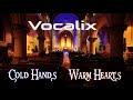 Vocalix Demo-Medley 2017