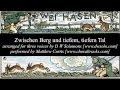 Zwischen Berg und tiefem tiefem Tal (The 2 hares)