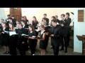 Johann Sebastian Bach: Jesu, joy of man's desiring