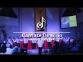 Cantate Domino